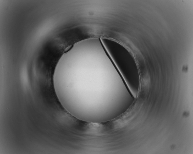 X0000103280429200809051535