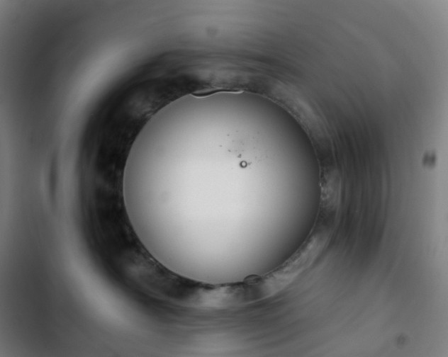 X0000103280430200809051535