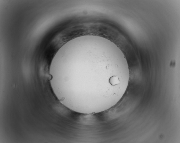 X0000103280431200809051535