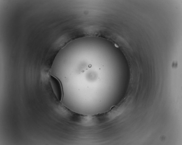 X0000103280432200809051535