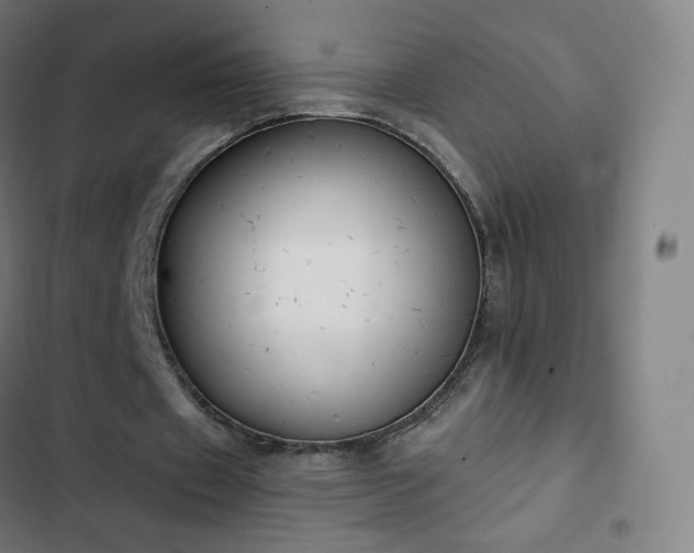 X0000103280433200809051534