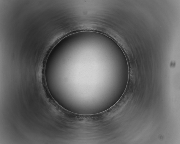 X0000103280434200809051534