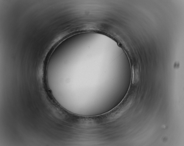 X0000103280435200809051534