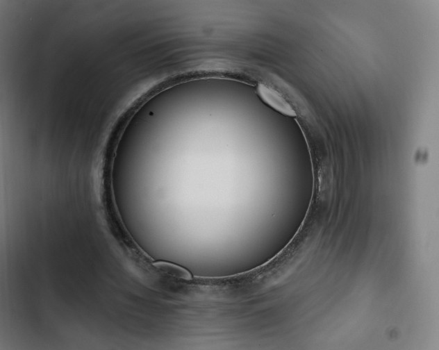 X0000103280436200809051534