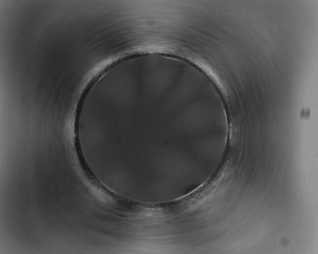 X0000103280438200809051534