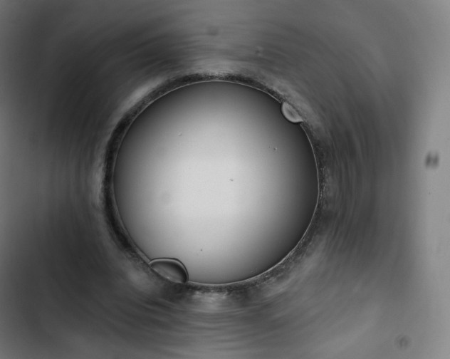 X0000103280440200809051534