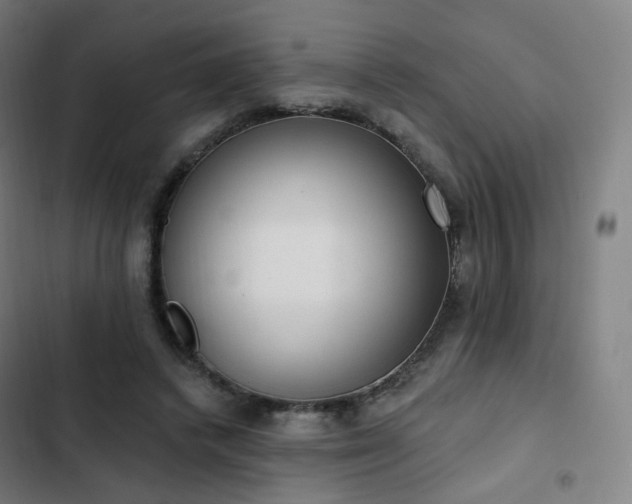 X0000103280448200809051534