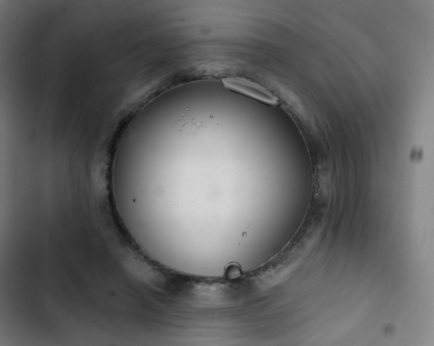 X0000103280450200809051534