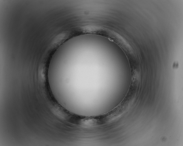 X0000103280452200809051534