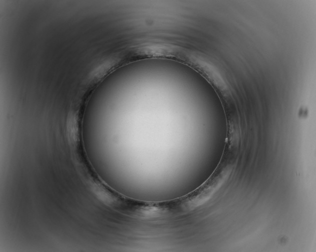 X0000103280453200809051534