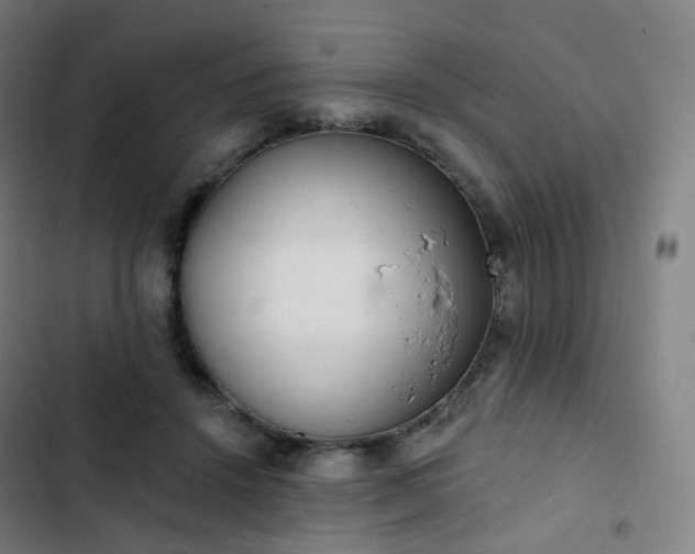 X0000103280456200809051534