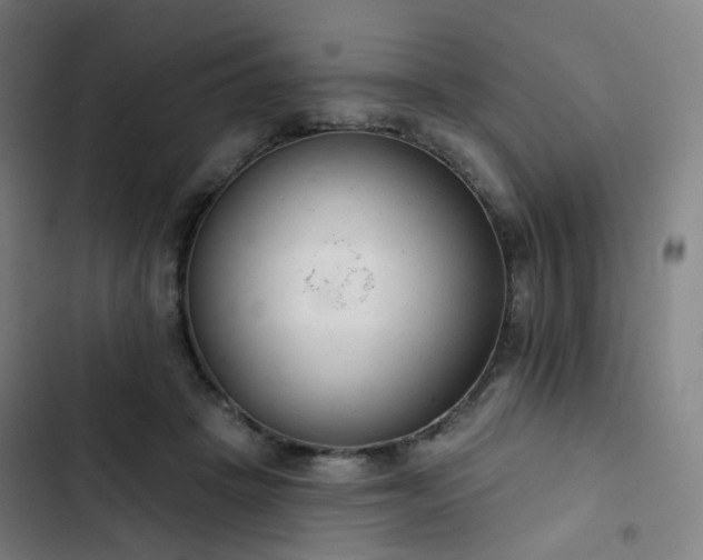 X0000103280457200809051534