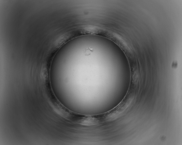 X0000103280459200809051534