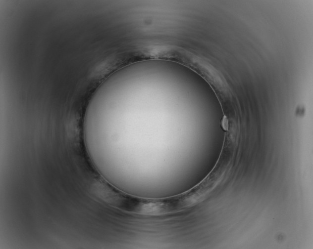 X0000103280461200809051534