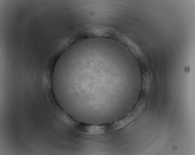 X0000103280465200809051534