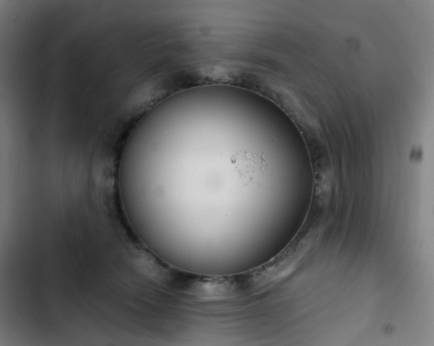 X0000103280466200809051534