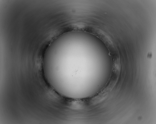 X0000103280468200809051534