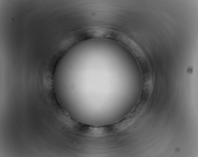 X0000103280469200809051534