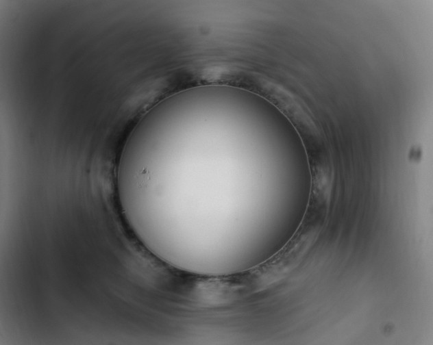 X0000103280470200809051534