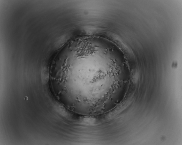 X0000103280471200809051534