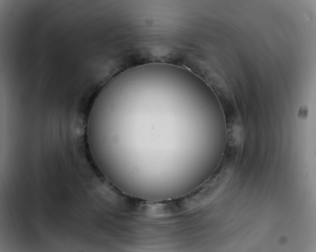 X0000103280472200809051534