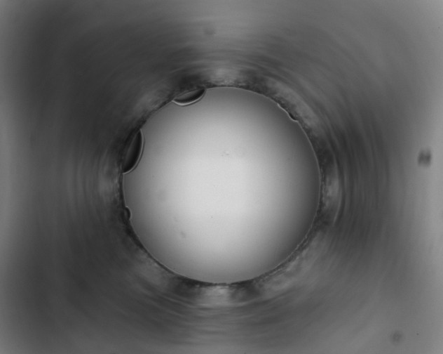 X0000103280473200809051534