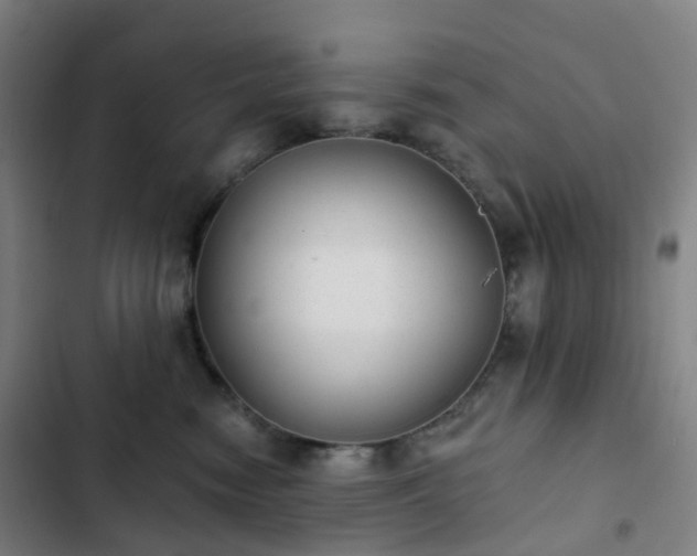 X0000103280474200809051534