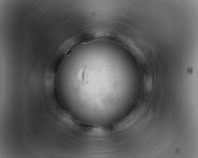 X0000103280475200809051535