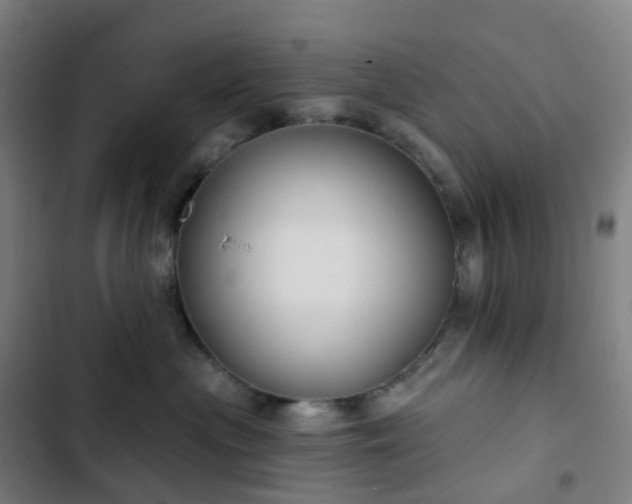 X0000103280477200809051535