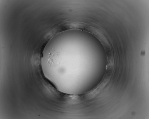 X0000103280478200809051535