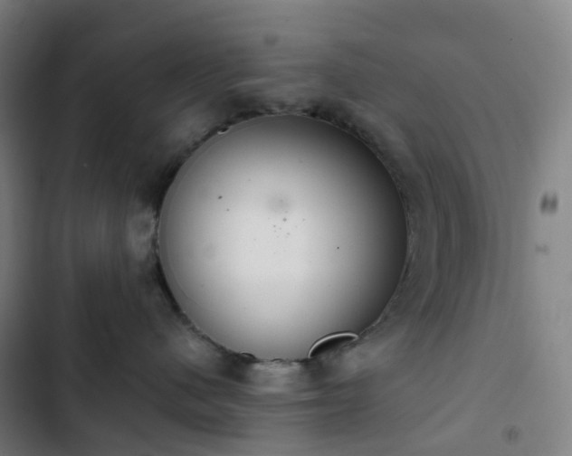 X0000103280480200809051535