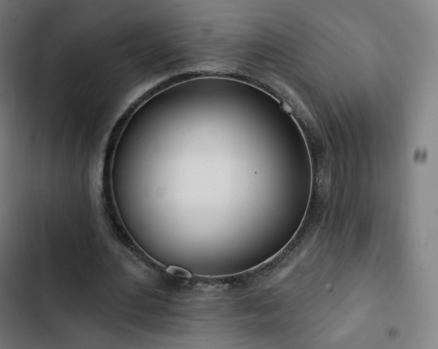 X0000103280484200809051534