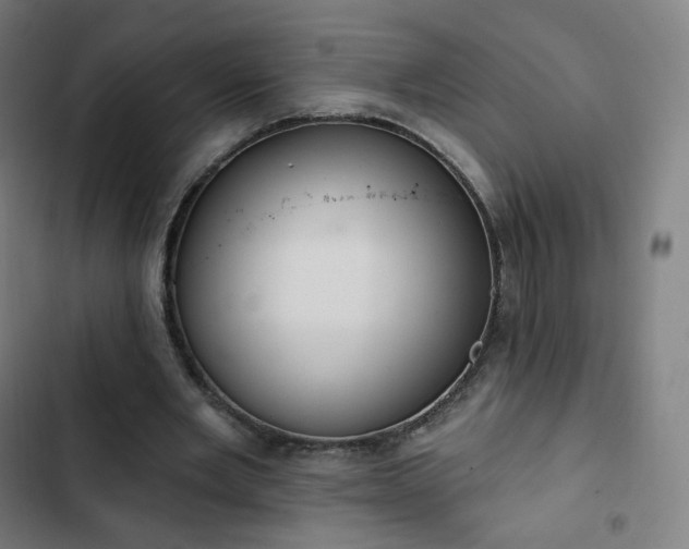 X0000103280485200809051534