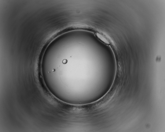 X0000103280487200809051534