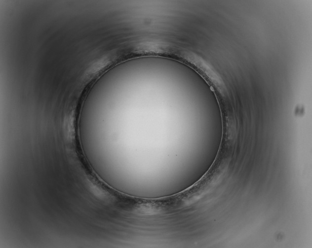 X0000103280489200809051534