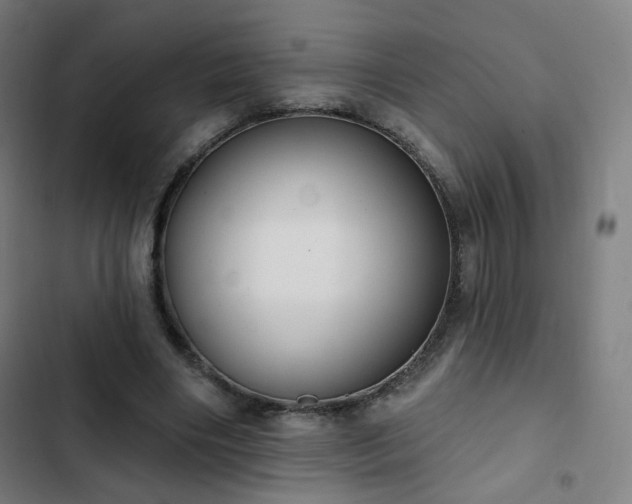 X0000103280490200809051534