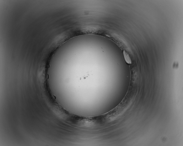 X0000103280498200809051534