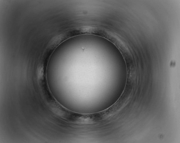 X0000103280502200809051534