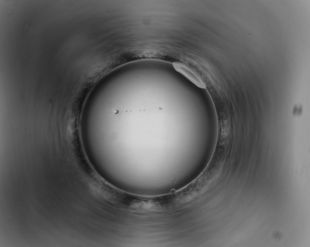 X0000103280503200809051534