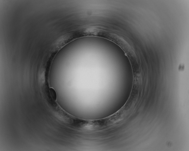 X0000103280504200809051534