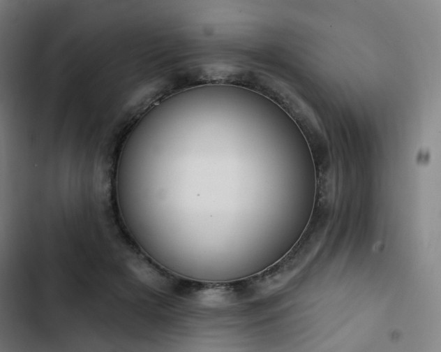 X0000103280505200809051534