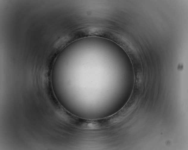 X0000103280506200809051534