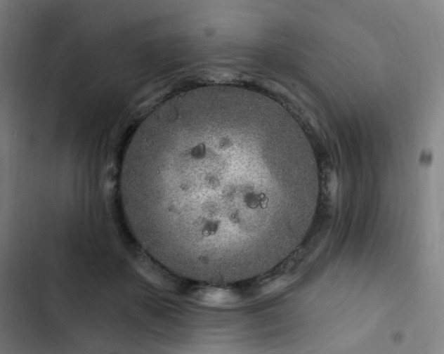 X0000103280507200809051534