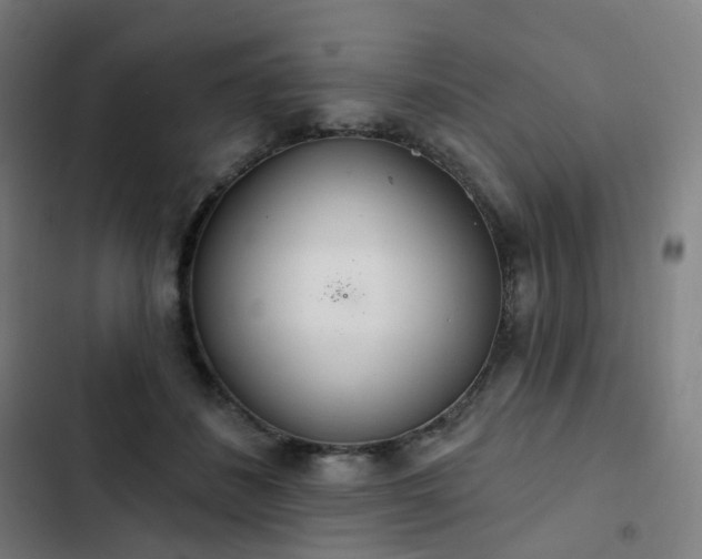 X0000103280508200809051534