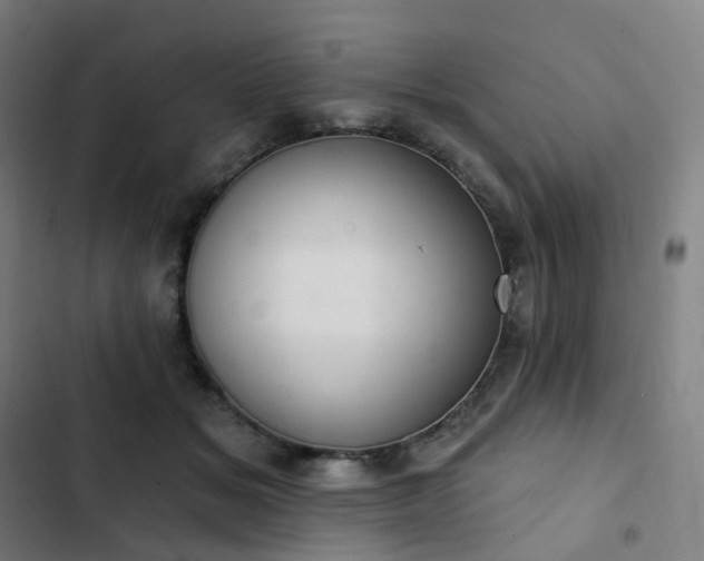 X0000103280509200809051534