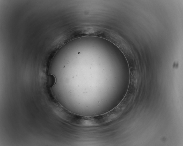 X0000103280510200809051534