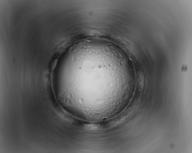 X0000103280511200809051534