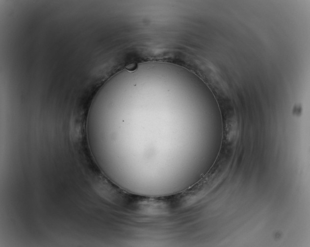 X0000103280515200809051533