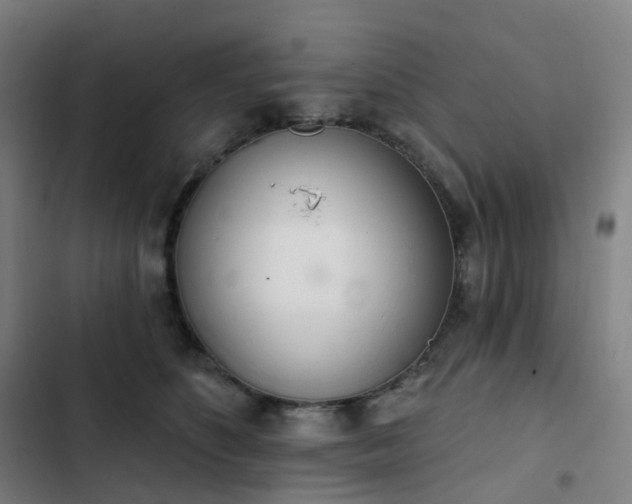 X0000103280516200809051533