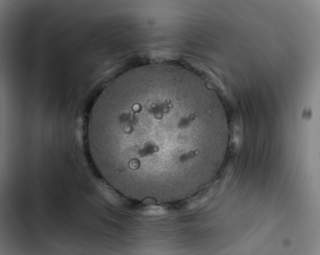 X0000103280519200809051533